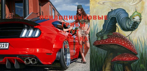метадон Арсеньев