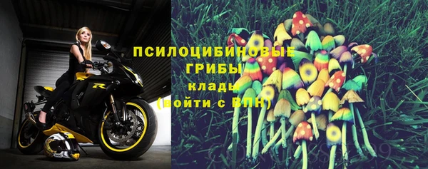 MESCALINE Аркадак