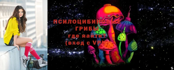 MESCALINE Аркадак