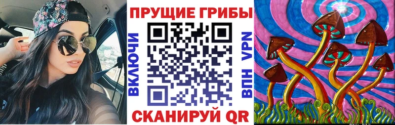 купить наркотики сайты  Павлово  Псилоцибиновые грибы Psilocybe 